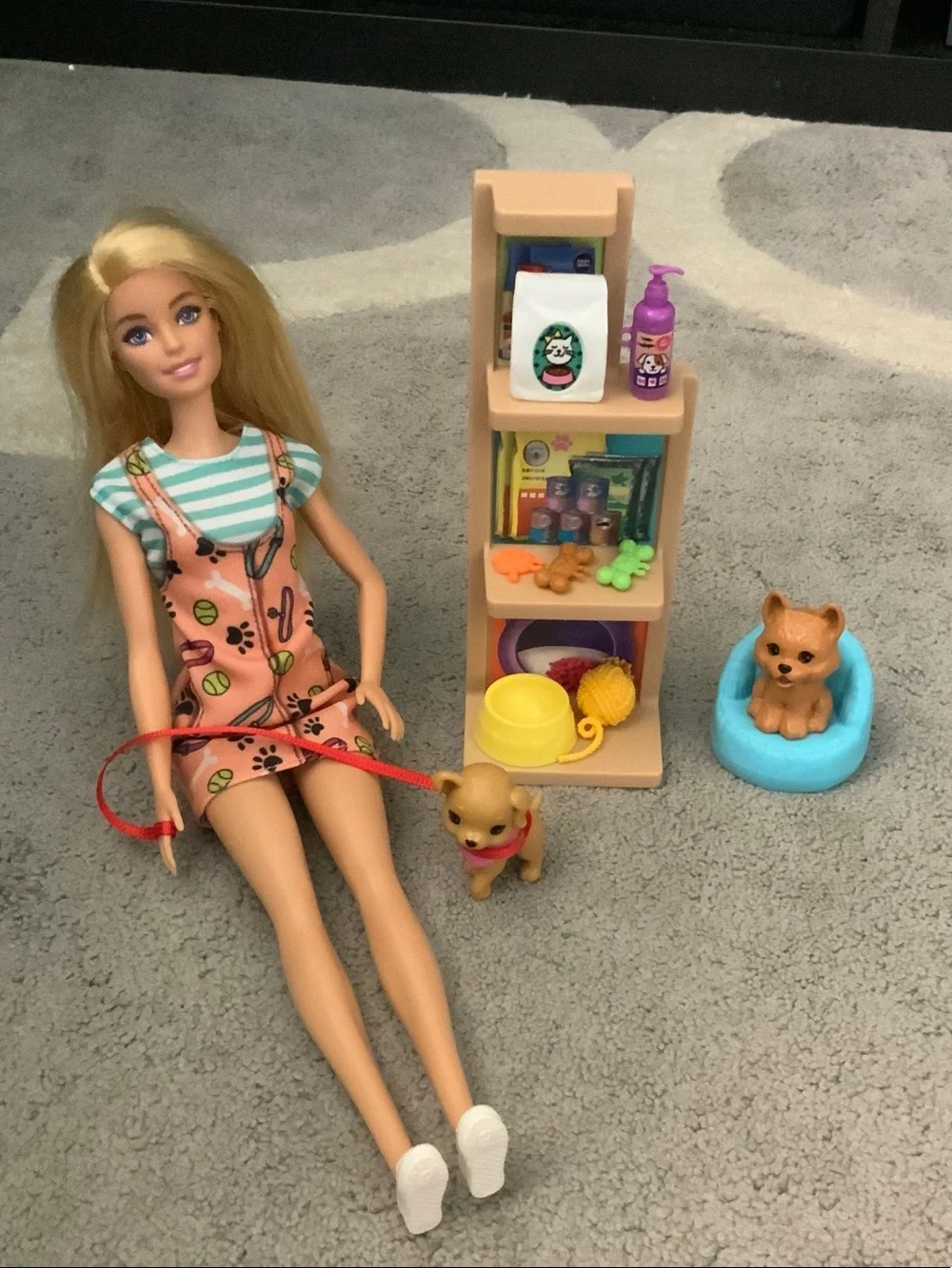 Barbie Pink and Blue Pet Care Playset with Doll and Pets